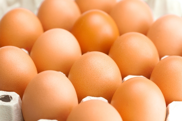 '살충제 계란' 파동 여파로 소비자 불안감이 수그러들지 않는다는 지적도 나온다. 여전히 많은 이들이 포털사이트에서 살충제 달걀 번호, 혹은 살충제 계란 번호를 검색한다.