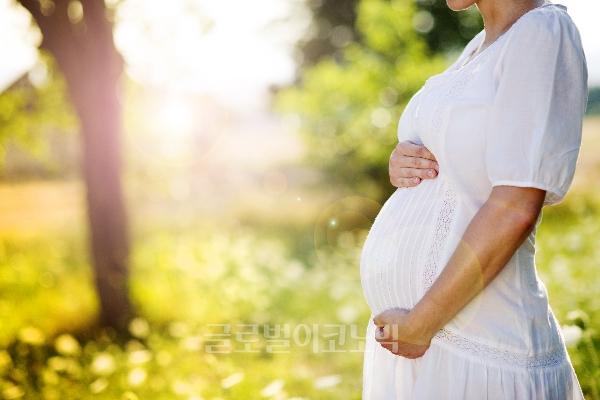‘미들턴 셋째 아이 임신’ 소식이 연일 화제가 되고 있다.