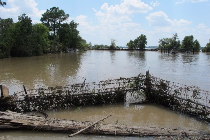 허리케인 '하비'가 텍사스 내 유독성 폐기물 저장소를 강타한 것으로 알려져 독성 물질 유출이 우려되고 있다. 사진=AP/뉴시스