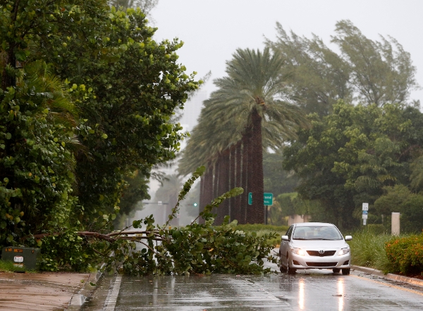 미국 플로리다주 골든비치에서 9일(현지시간) 허리케인 어마의 강풍으로 가로수가 도로 쪽으로 쓰러져 있다./사진=AP뉴시스