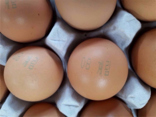 비펜트린 초과 검출된 ‘맑은 계란’(난각표시: ‘08계림’, 유통기한 ’17.9.28.) 제품. 농림축산식품부=제공