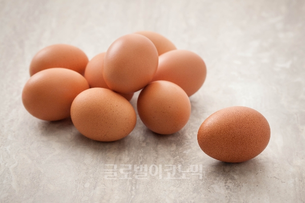 정부가 경북 한 농장에서 달걀 살충제 검출 조사 중 허용 기준치를 초과한 산란노계를 전량 폐기 조치했다고 밝혔다.