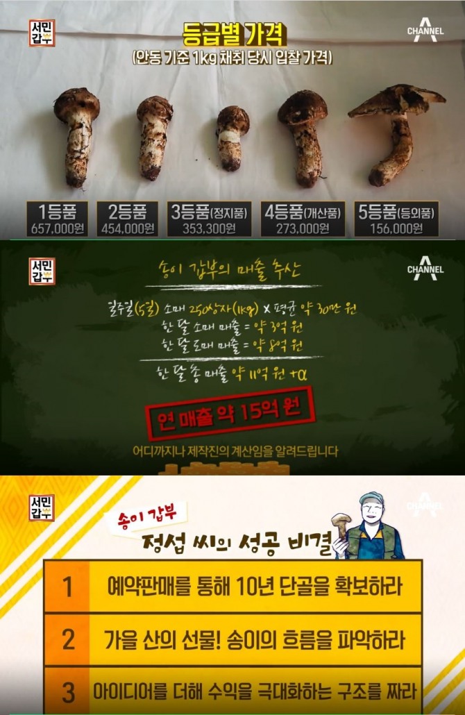 '서민갑부' 안동 송이갑부 정정섭, 자연산 송이버섯으로 돈 버는 방법? 이렇게 판매처 어디? 위치&가격...채널A ‘서민갑부’ 147회에서는 “한달 매출 11억 원! 송이에 미친 추남”편으로 꾸며졌다. ‘서민갑부’에서는 경북 안동시 예안면 정산2리 소재 ‘청량산자락 송이’ 인터넷 판매 및 푸룬, 토종꿀, 체리, 복숭아, 자두, 묘목판매 등을 통해 연 매출 15억 원 (‘서민갑부’ 제작진 추정금액)을 기록하고 있는 송이버섯 갑부 정정섭(66세) 씨와 그의 아내 우점순(59세) 씨의 성공 스토리를 공개했다.  /사진=채널A 서민갑부 147회 방송캡처 ('서민갑부' 안동 자연산 송이버섯, 송이갑부 서민갑부 정정섭)