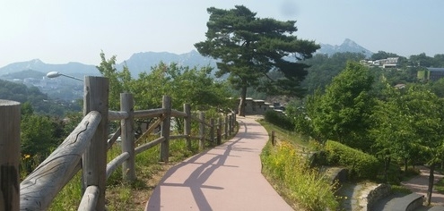 한국을 대표하는 ‘한국관광 100선’ 선전된 울진금강소나무숲길에서 ‘2017년 산림청장배 산악자전거대회’가 오는 21일~22일 열린다./사진=뉴시스