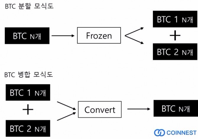 BTC 분할 모식도. 자료=코인네스트