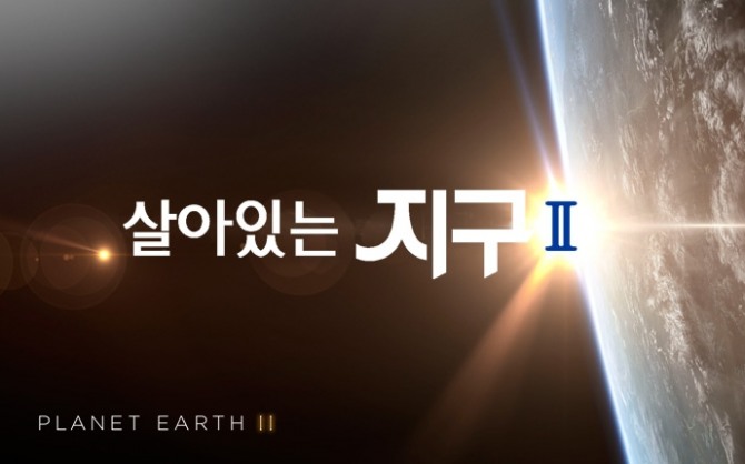[TV편성표 변경] KBS 1TV 제작비 175억 원 '글로벌 다큐멘터리 살아있는 지구2' 편성...'생로병사의 비밀' 결방 언제까지? / 10월 25일 수요일 KBS 1TV 편성표에 따르면 오후 9시 40분 ‘글로벌 다큐멘터리 - 살아있는 지구2’가 방송된다. 이에 매주 수요일 오후 9시 40분에 방송되던 KBS 1TV 시사/교양 프로그램 ‘생로병사의 비밀’이 4주 연속 결방 소식을 전하게 됐다. /사진=KBS 1TV 영국 BBC 글로벌 다큐멘터리 '살아있는 지구2' 공식 홈페이지 스틸컷