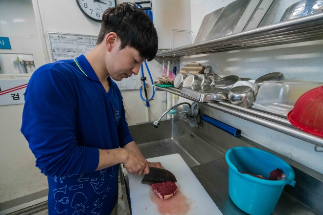 문규봉 사육사가 잭의 식사를 준비하고 있다. 잭은 현재 삼시 세끼 소고기 우둔살과 닭고기 가슴살을 혼합해 320g씩 먹는다. / 사진=한화아쿠아플라넷.