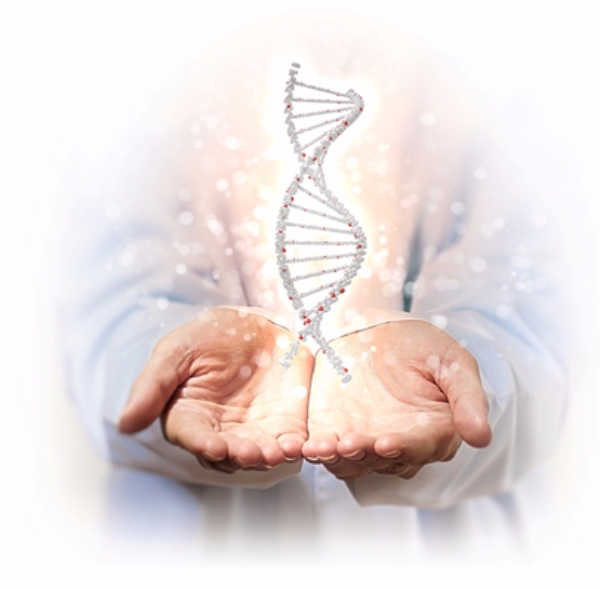 툴젠의 유전자가위의 기능성을 관찰하는 데 사용할 수 있는 리포터 기술에 대한 특허가 미국에 정식 등록되면서 기술력을 인정받았다. 자료=툴젠