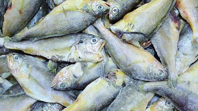 중국식 소금에 절인 생선이 암을 유발하는 것으로 나타났다.