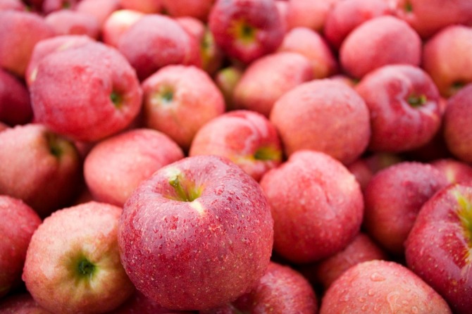 미국 식료품 체인 알디는 설사와 두통 등을 유발하는 리스테리아 균에 감염된 사과를 리콜한다고 밝혔다. 자료=글로벌이코노믹