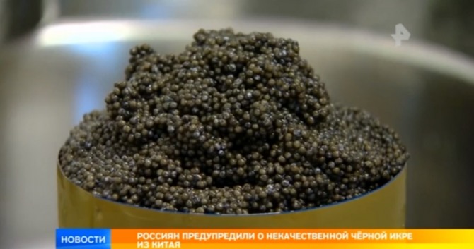 25루블(약 460원)의 중국산 '화학 캐비어'가 수천루블의 러시아 캐비아로 거래됐던 것으로 나타났다. 자료=RenTV