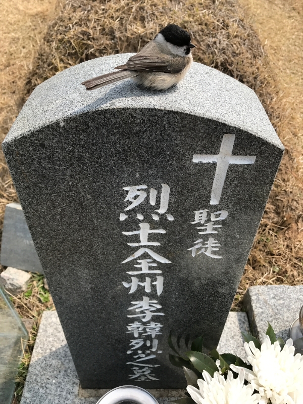 고 이한열의 묘소에  박새 한 마리가 묘비 한가운데 한참 앉아있다 날아갔다./사진= 고 이한열 열사 기념사업회