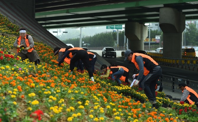 지난해 전남 장성군 주민들이 직접 장성읍 소재지에 꽃동산을 조성하는 모습.=전남 장성군=제공