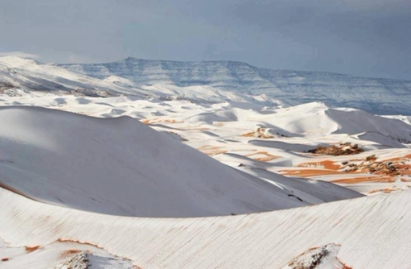 지난 7일 사하라 사막의 일부 지역에 40㎝ 가량 눈이 내린 데 이어 지난 9일(현지시간)에도 눈이 내렸다. 사진=트위터