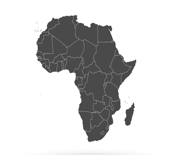 삼성전자와 LG전자가 아프리카 현지 공략에 가속도를 낸다.
