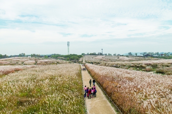 하늘공원 하늘길