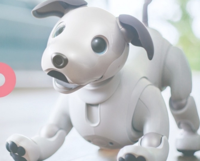 일본 소니가 만든  로봇 강아지 