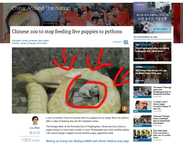 중국의 한 동물원에서 비단뱀에게 살아있는 강아지를 먹이로 준 일이 발생했다. 사진=사우스차이나모닝포스트 홈페이지 캡처