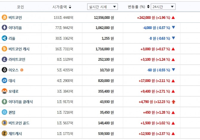 현재 비트코인은 전거래일 대비 1.43%(24만5000원) 오른 1256만원에 거래되고 있다. 빗썸 홈페이지