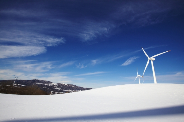 대관령 양떼 목장/한국관광공사