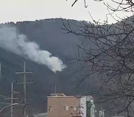 페이스북 커뮤니티 실시간대구 제보영상 캡쳐. 21일 오후 대구 남부도서관 부근 야산에서 화재가 발생했다.