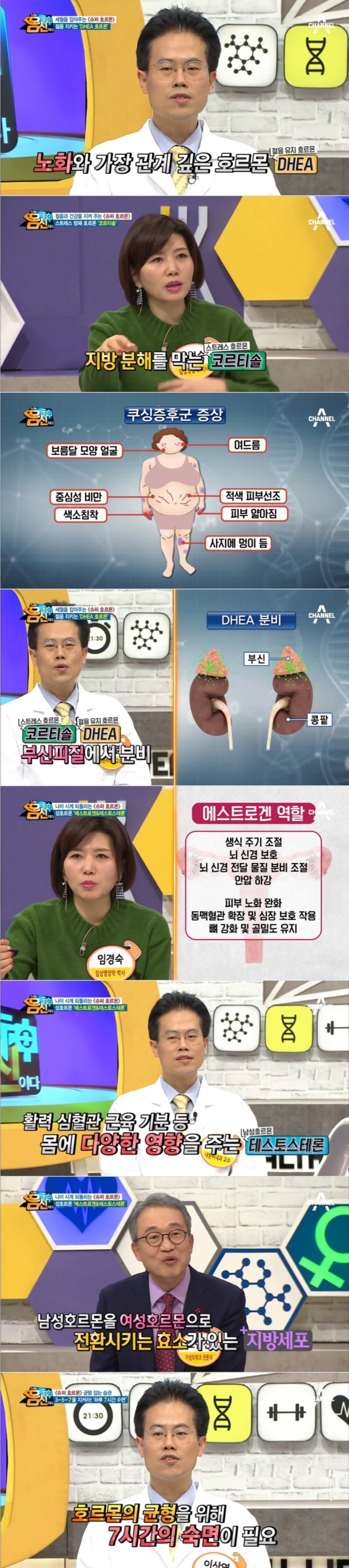 지난 6일 방송된 채널A '나는 몸신이다'에서는 이성열 내분비과 전문의, 오한진 가정의학과 전문의, 임경숙 박사 등이 출연, 슈퍼호르몬 중 코르티솔과 DHEA의 역할과 그로인한 질병등에 대해 살펴보았다. 사진=MBN 방송 캡처