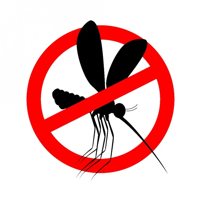 중국이 작은 곤충의 비행까지 감지할 수 있는 미세 탐지 레이더의 프로토타입을 테스트하고 있다. 자료=글로벌이코노믹