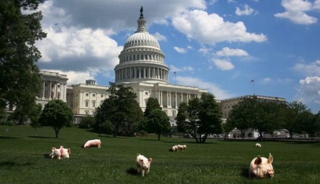 중국이 미국산 돼지고기에 대한 25%의 높은 관세를 포함한 보복 조치를 발효하면서 미국 육류 가공업체 주가가 일제히 급락했다. 자료=NPPC