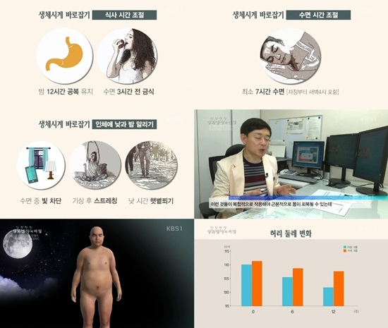 건강하게 살을 뺄수 있는 '시간제한 다이어트' 방법이 '생로병사의 비밀'에서 공개됐다. 사진=KBS1