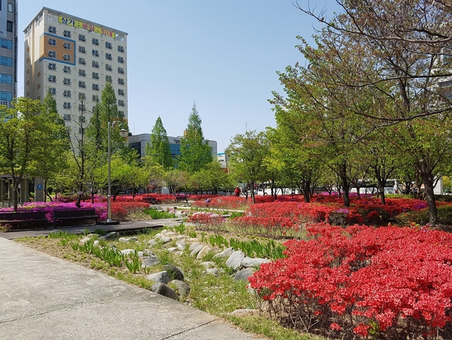 대전시청사에 조성된 그린빗물 인프라 시설
