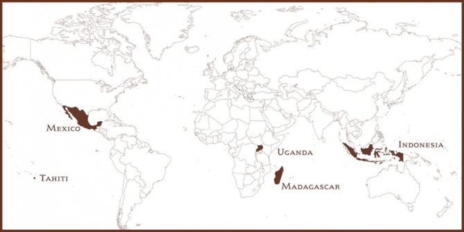 전 세계 바닐라의 75% 이상은 마다가스카르 섬에서 재배되고 있다. 자료=닐슨매시