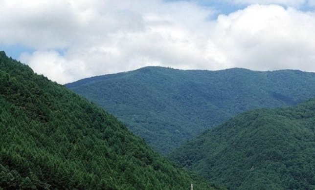 산림훼손전 가리왕산