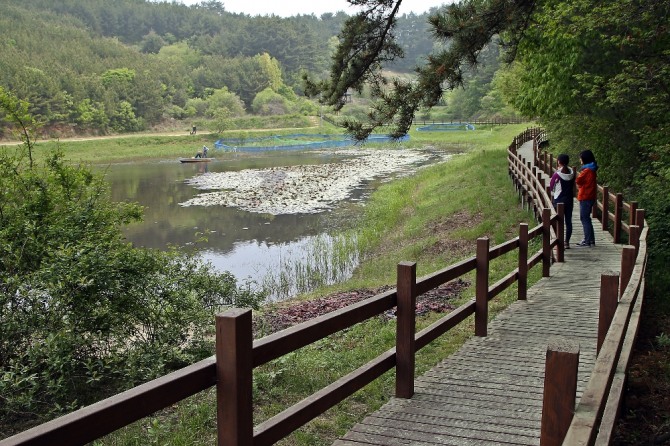습지해설을 들으며 데크 산책로를 운치있게 걸을 수 있다. 사진=한국관광공사.