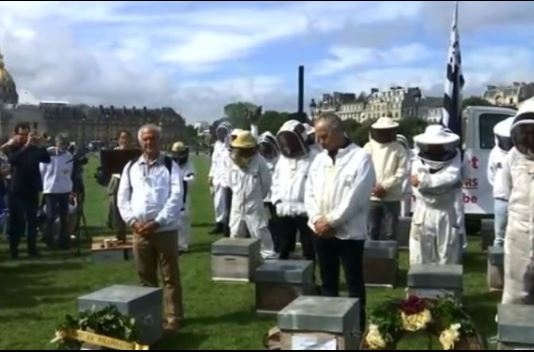 양봉가들과 환경운동가들이 7일(현지 시간) 파리 근교 정원에서 농약 사용에 항의하는 '꿀벌 장례' 퍼포먼스를 개최하고 있다.