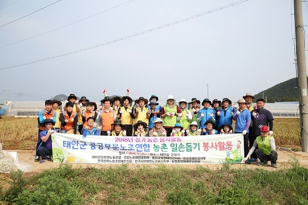 한국서부발전은 15일 태안군 유관기관 직원들과 함께 농촌 일손 돕기 마늘 수확을 진행했다. 사진=한국서부발전.