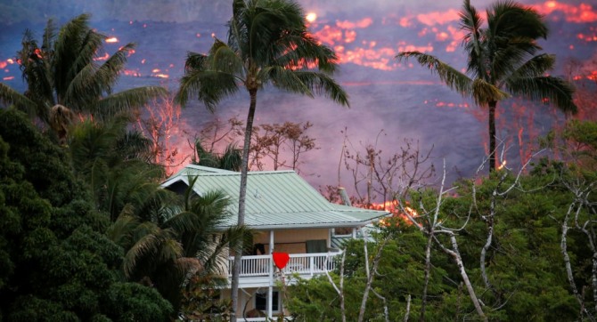 하와이 마리화나 농가들이 용암으로부터 피난을 거부하고 있다. 자료=로이터