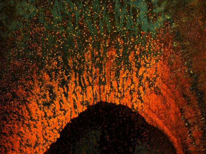 '엘랑비탈'에 수록된 작품으로 촬영 시간과 조건의 인위적인 선택을 통해 철판위에 핀 녹을 현란한 형태의 색채로 연출하고 있다.