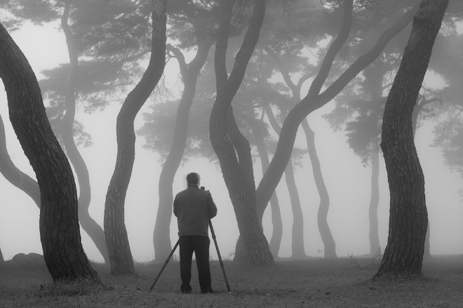 충북 영동 임한리에서 소나무 사진 촬영중인 고원재 작가.