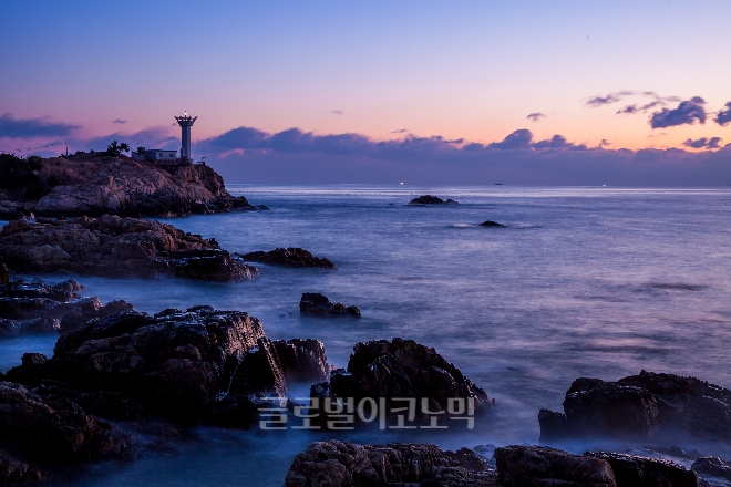 부산 기장군 넙치 양식장에서 수은 기준치 초과 검출 넙치가 나왔다.