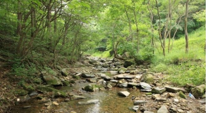 충북 진천에 위치한 연곡계곡이 여름 휴가지로 관심을 받고 있다. 사진=한국관광공사
