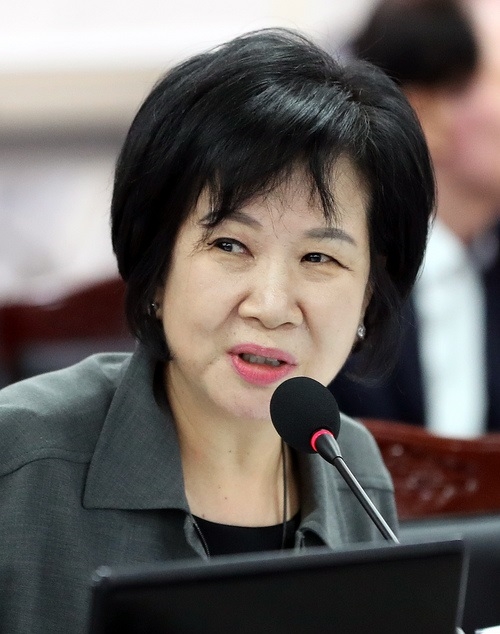 손혜원 민주당 의원이 '선동열 국감 역풍'의 주인공으로 이틀연속 온라인에서 주목받고 있다. 사진=뉴시스