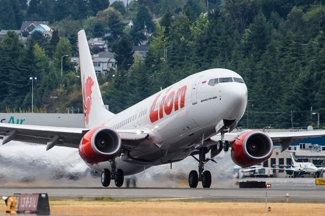 라이언에어의 추락 항공기는 '737MAX8' 기종으로 보잉이 개발한 차세대 제트 여객기다. 자료=보잉
