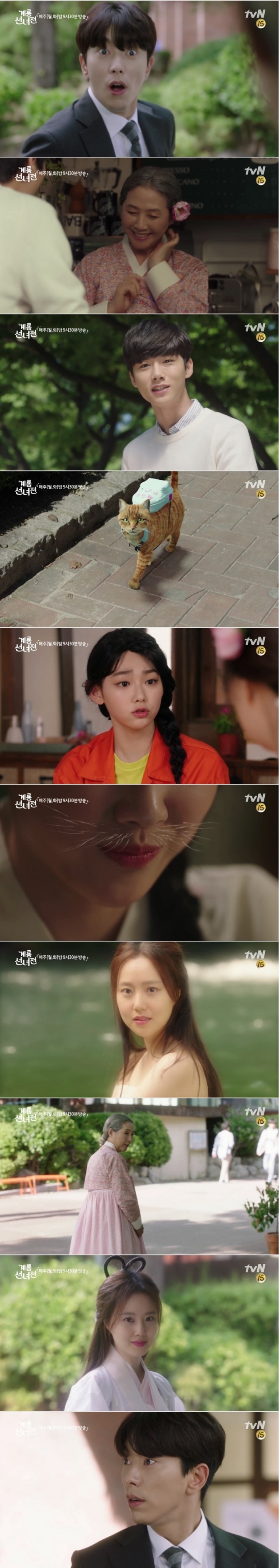 6일 오후 방송되는 tvN 월화드라마 '계룡선녀전' 2회에서는 정이현(윤현민 분)이 나무꾼을 찾기 위해 서울에서 바리스타를 시작한 선녀 선옥남(고두심, 문채원 분)이 젊은 선녀와 노파를 오가며 자유자재로 변신하는 것을 보고 멘붕에 빠지는 반전이 그려진다.사진=tvN 영상 캡처