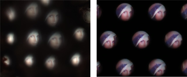 왼쪽은 제노스 페키의 시각기관을 통해 얻은 영상이고 오른쪽은 초박형 디지털 카메라를 통해 얻은 영상이다.(사진=KAIST)