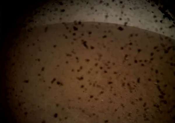 인사이트가 화성에서 최초로 보내온 사진. 이 화성 탐사선은 지구인을 안절부절하게 만든 6분30초간의 하강끝에 첫 번째 사진을 보내왔다. 이 사진은 착륙지인 엘리시움 평원으로 불리는 평평한 구역을 촬영했다. 인사이트는 화성 지표면 5m를 파고 내려가 지진과 지열, 은 물론 화성의 요동에 대해서도 계측하게 된다.(사진=나사)  