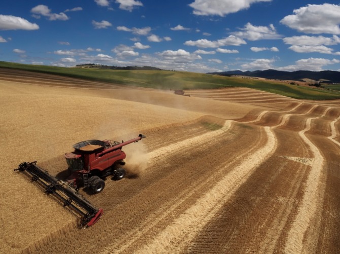 미국 농산물의 대중 수출 총액은 올해 1~10월에 약 83억달러를 기록해 전년 동기 대비 42%나 급감했다. 자료=글로벌이코노믹