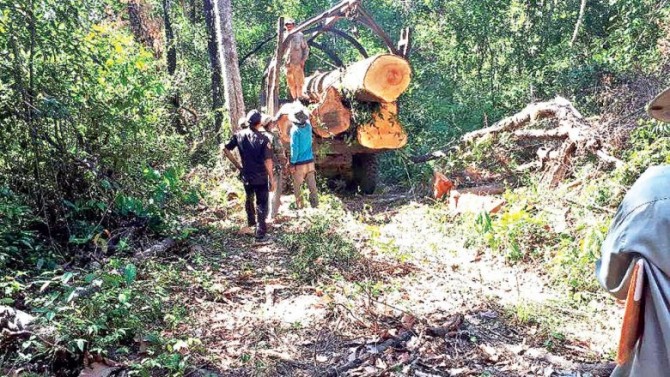 캄보디아의 한국 현지 기업 씽크 바이오텍이 불법 벌목으로 인해 지역 단체로부터 비난을 받고있다. 그러나 씽크 바이오텍은 캄보디아 농림부의 정식 인가를 받고 2012년부터 벌목 작업을 해왔다고 반박했다. 사진은 프레이 랑의 벌목 현장 모습이다.  