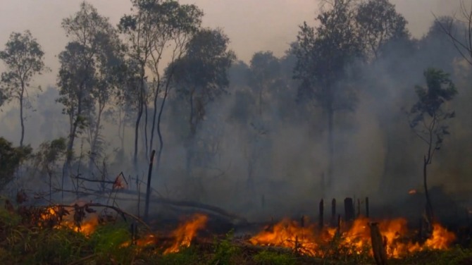인도네시아 수마트라 주민들이 팜오일 농장을 만들기 위해 열대우림에 불을 질러 숲을 태우고 있다. 팜오일 농장 확장은 환경오염과 기후변화 주범으로 유럽은 팜오일의 에너지 용도 사용을 단계적으로 폐지할 예정이다. 또한 팜오일 기반의 연료는 '바이오연료'의 범주에서 제외시키자는 주장도 거세게 일고 있다. 