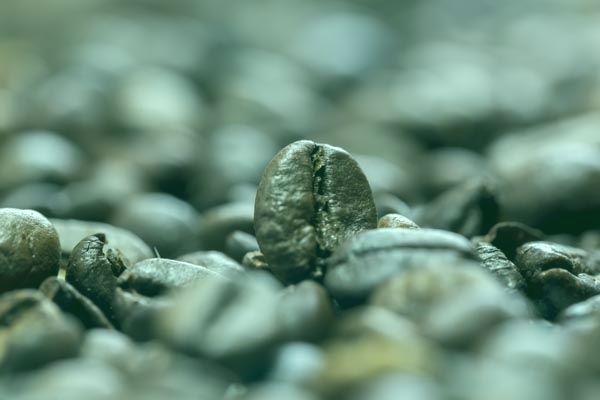 지구상의 야생 커피종 중 약 60%가 멸종 위기에 처해있는 것으로 나타났다. 자료=글로벌이코노믹