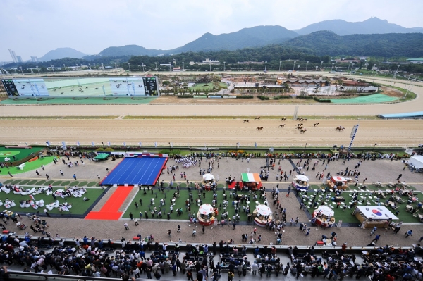 2016년 코리아컵 행사 모습